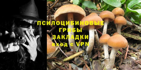 гидра Балабаново