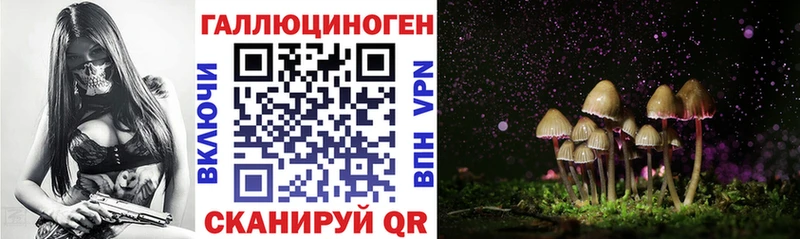 Псилоцибиновые грибы MAGIC MUSHROOMS закладка Нерюнгри